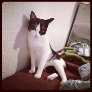 Qハウスの様子