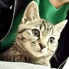 Qハウスの様子