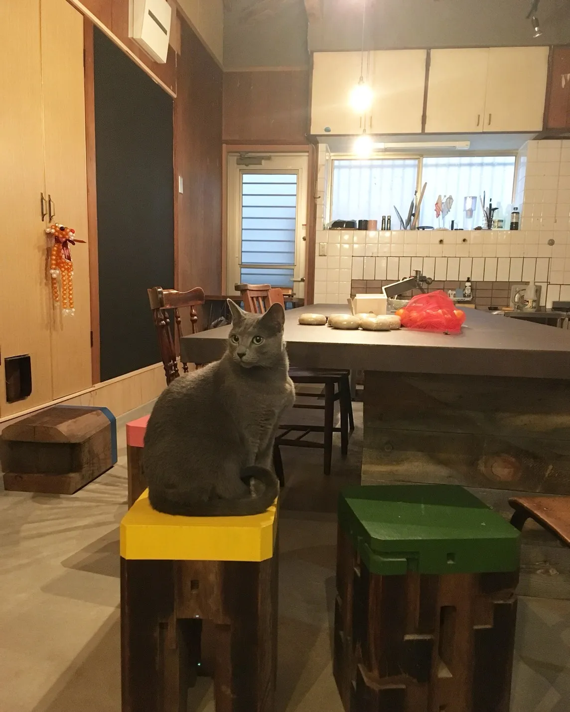 ねこと過ごすQハウスのダイニング