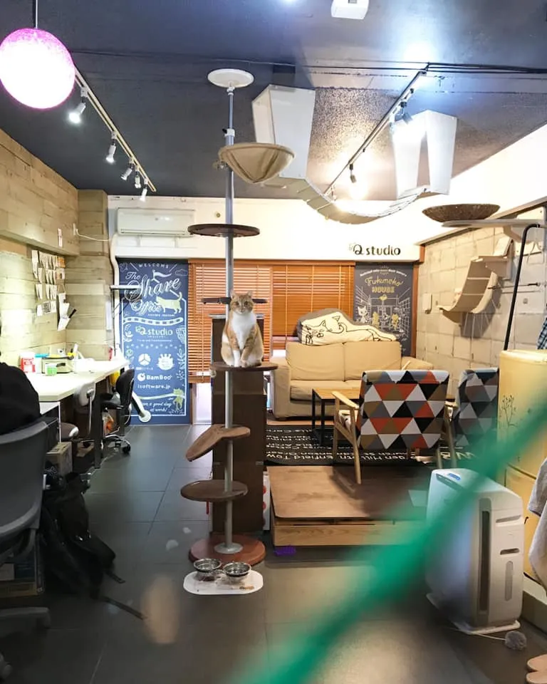 Qstudioのオフィス内